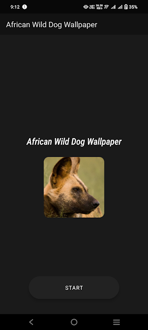 African Wild Dog Wallpaper Screenshot 1