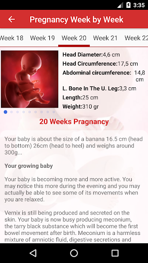 Pregnancy Day by Day Screenshot 3