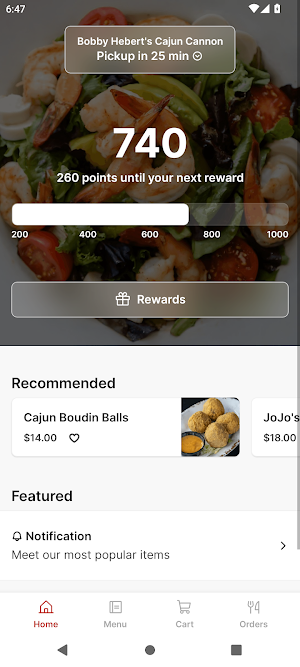Bobby Hebert's Cajun Cannon Screenshot 0