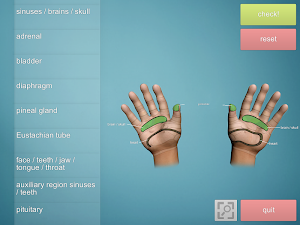 Drag&Drop Reflexology - hands screenshot 2
