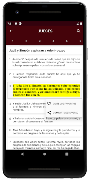 LA SANTA BIBLIA Screenshot 2