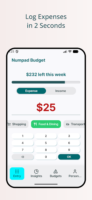 Numpad Budget - Fast Expense Screenshot 0