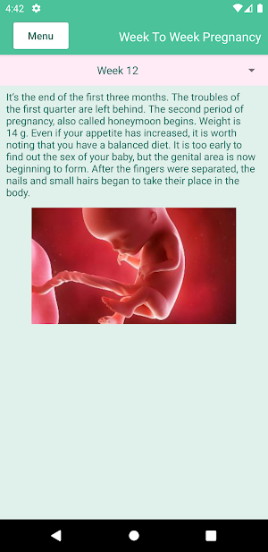 Pregnancy Tracking Screenshot 2