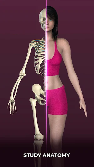 Idle Girl: Create Your Friend Screenshot 2