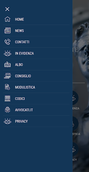 Ordine Avvocati Trieste Screenshot 2