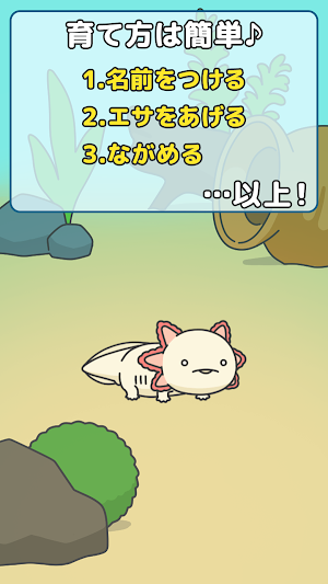 人生はウーパールーパー 観察記 Screenshot 1