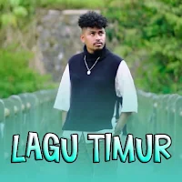 200+Lagu Timur Offline Lengkap