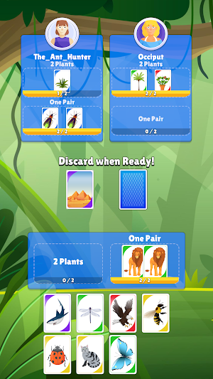 Rummy Seasons Screenshot 1