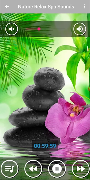 Relaxing Spa Music : Massage Music Screenshot 3