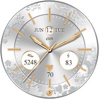 Silky Watch