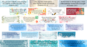 Bible Proverbs Screenshot 2