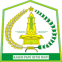 Open Data Aceh Tamiang