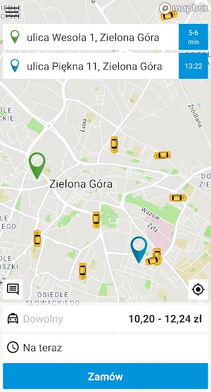 Hallo Taxi Zielona Góra Screenshot 3