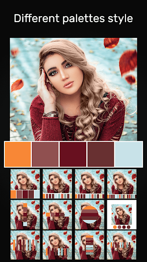 Add Color Palettes to Photos Screenshot 2