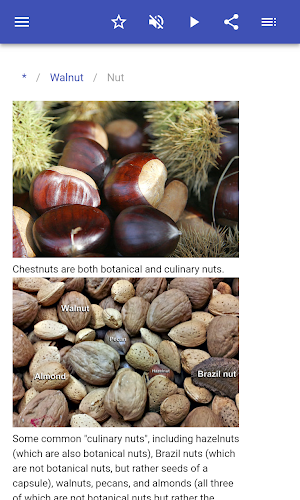 Nuts and seeds Screenshot 2