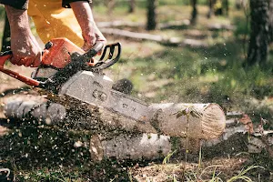 Chainsaw Sounds screenshot 1