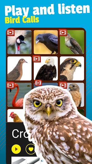 Bird Sounds and Ringtones Screenshot 2