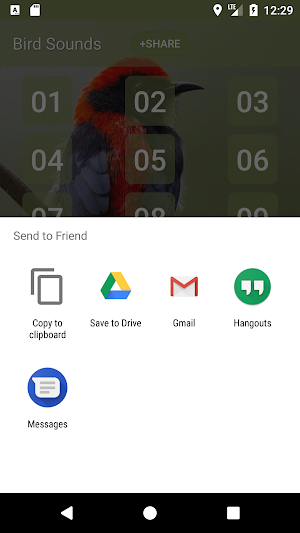 Scarlet-backed flowerpecker Sounds Screenshot 3