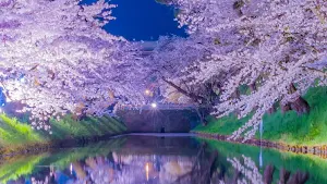 Sakura by the Riverside Screenshot 3