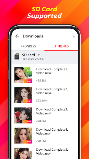 Video Download Master Screenshot 2
