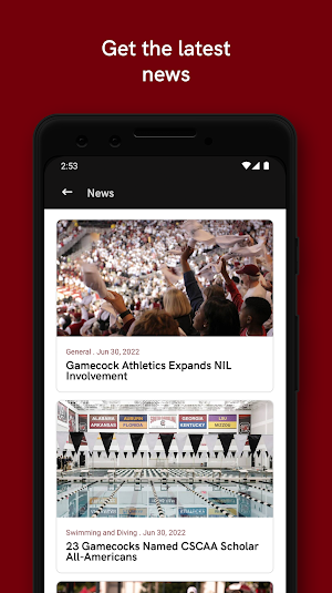 South Carolina Gamecocks Screenshot 3