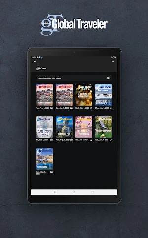 Global Traveler Screenshot 0