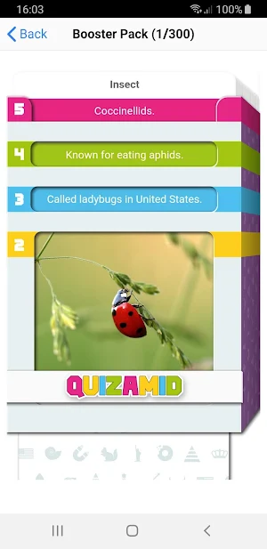 QUIZAMID - Extra Questions Screenshot 0