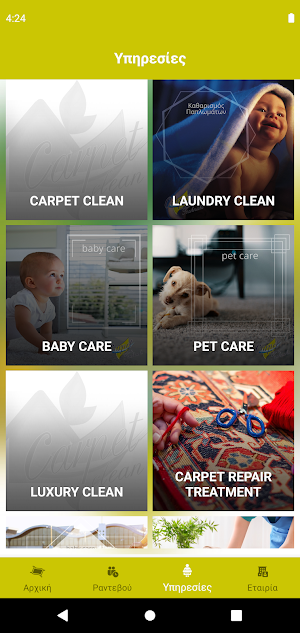 Carpet Clean Screenshot 2