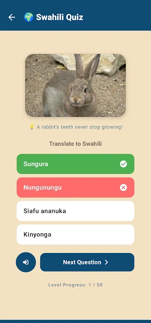 Learn Swahili Screenshot 1
