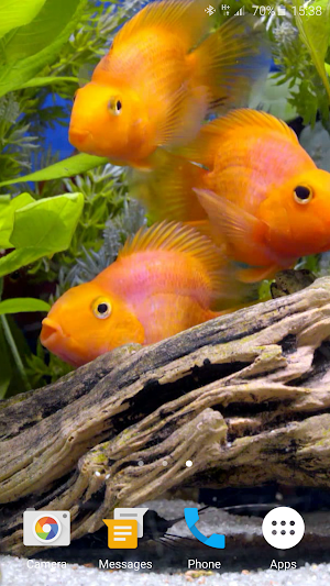 Aquarium 4K Live Wallpaper Screenshot 1
