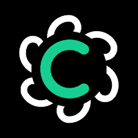 Ask AI Chatbot: Concise AI