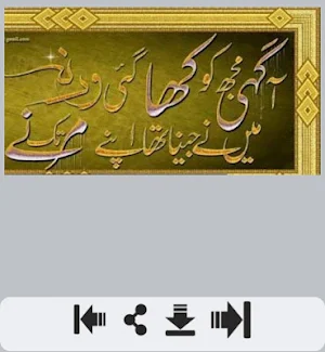 Deedar Urdu Shayari Screenshot 0