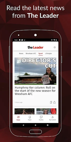 The Leader Screenshot 0