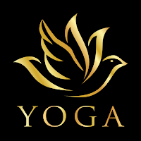 Spirit Body Yoga