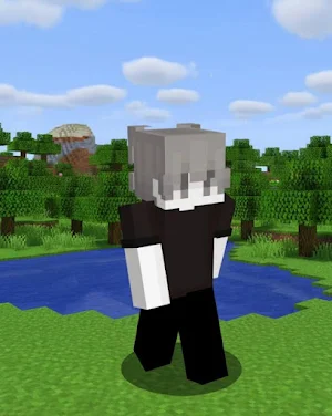 EBoy Skins For Minecraft Screenshot 0