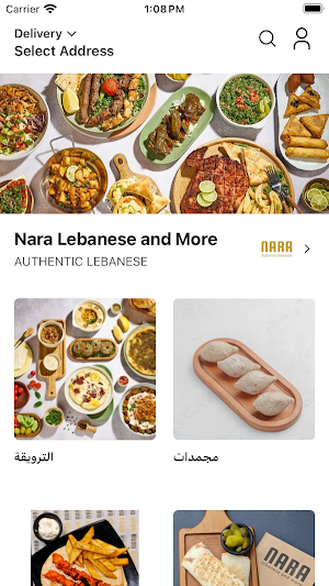 Nara Lebanese Screenshot 0