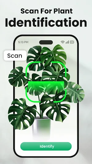 Plantology: Plant Identifier Screenshot 3