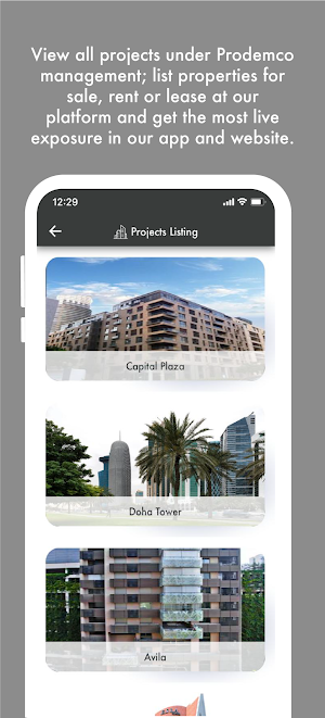 Prodemco Screenshot 1