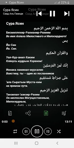 Сура Ясин аудио Screenshot 0