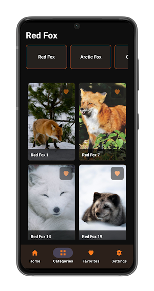 Fox Wallpapers Screenshot 0