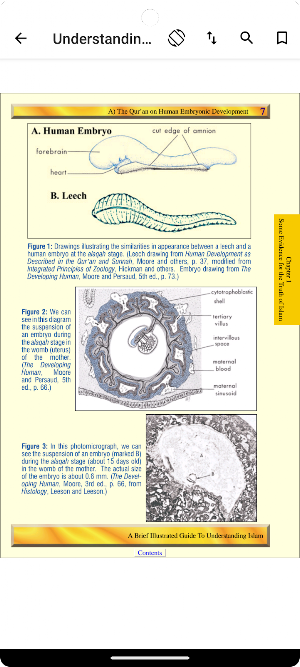Understanding Islam Screenshot 3