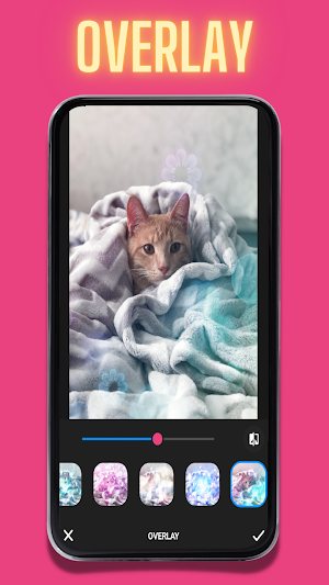 Photo Editor For Pet Screenshot 3