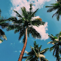 Pretty Summer Wallpapers
