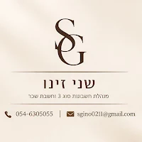 שני זינו מנהלת חשבונות