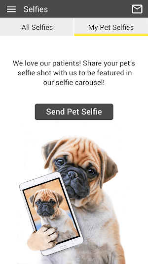 Sunset Animal Hospital Screenshot 3