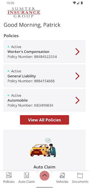 Sumter Ins Group Online Screenshot 1