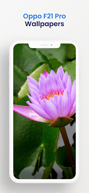 Theme for Oppo F21 Pro Screenshot 2