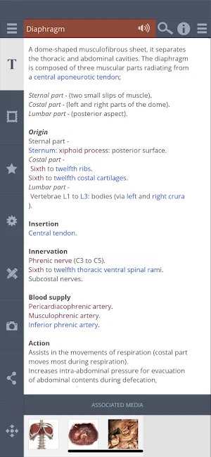 Primal's 3D Abdomen Screenshot 3