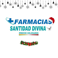 Santidad divina