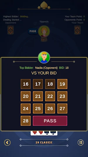 29 Card Game Legends Screenshot 3